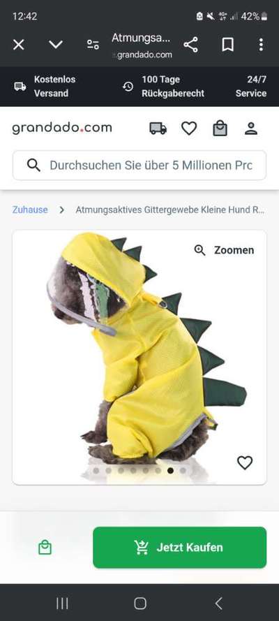 TierschutzhundeStammtisch🐕-Beitrag-Bild