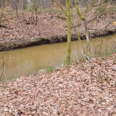 Leinenpflicht – nervige Einschränkung oder sinnvoller Schutz?-Beitrag-Bild