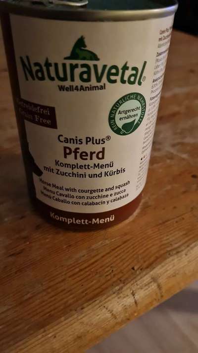 TierschutzhundeStammtisch🐕-Beitrag-Bild