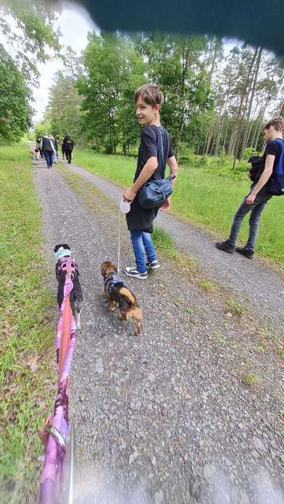 TierschutzhundeStammtisch🐕-Beitrag-Bild