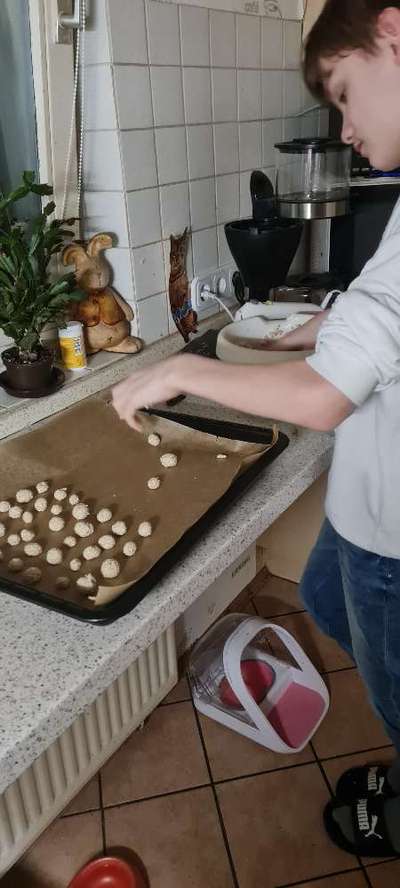 TierschutzhundeStammtisch🐕-Beitrag-Bild