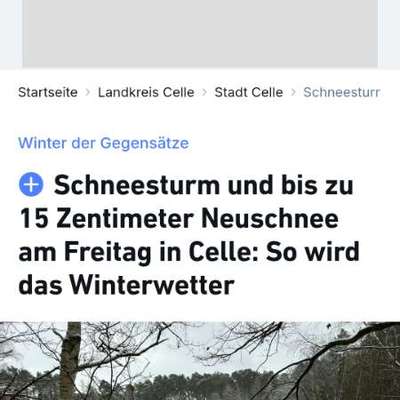 TierschutzhundeStammtisch🐕-Beitrag-Bild