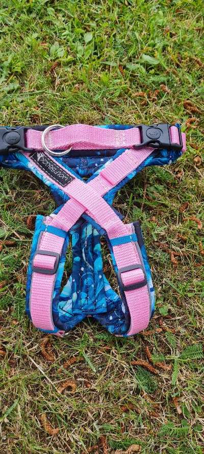 TierschutzhundeStammtisch🐕-Beitrag-Bild