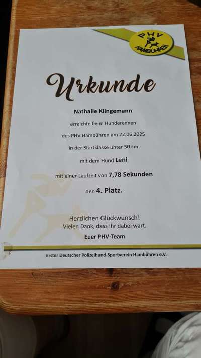 TierschutzhundeStammtisch🐕-Beitrag-Bild