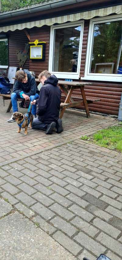 TierschutzhundeStammtisch🐕-Beitrag-Bild