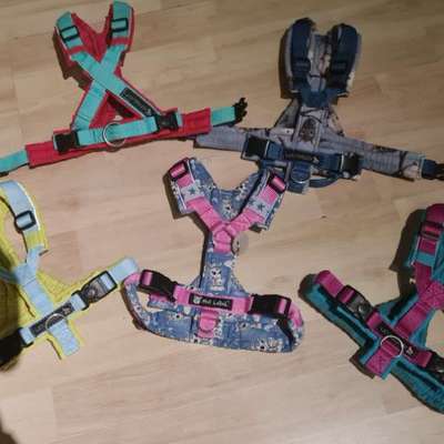 TierschutzhundeStammtisch🐕-Beitrag-Bild