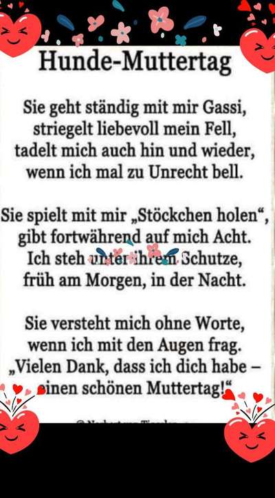 TierschutzhundeStammtisch🐕-Beitrag-Bild