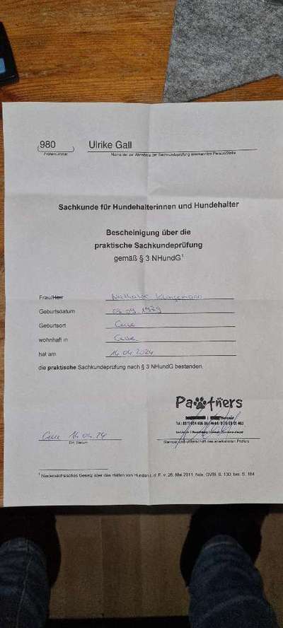 TierschutzhundeStammtisch🐕-Beitrag-Bild