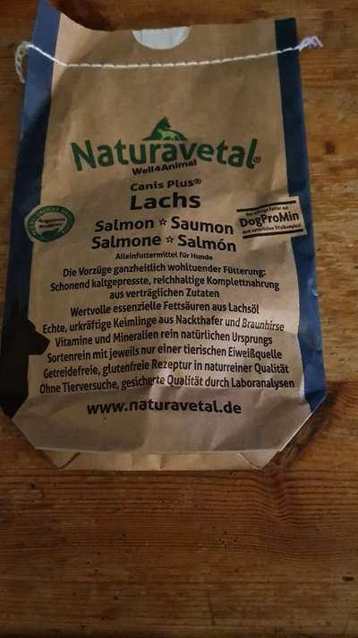 TierschutzhundeStammtisch🐕-Beitrag-Bild