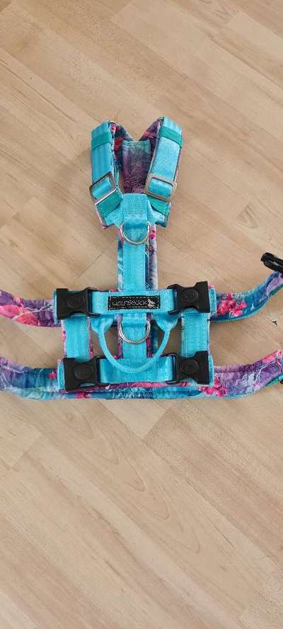 TierschutzhundeStammtisch🐕-Beitrag-Bild