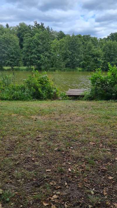 TierschutzhundeStammtisch🐕-Beitrag-Bild