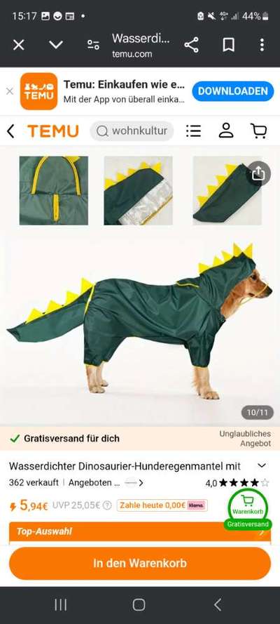 TierschutzhundeStammtisch🐕-Beitrag-Bild