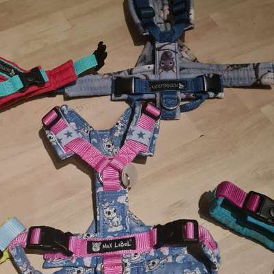 TierschutzhundeStammtisch🐕-Beitrag-Bild