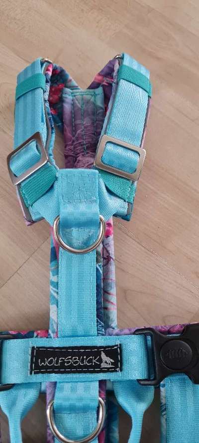 TierschutzhundeStammtisch🐕-Beitrag-Bild