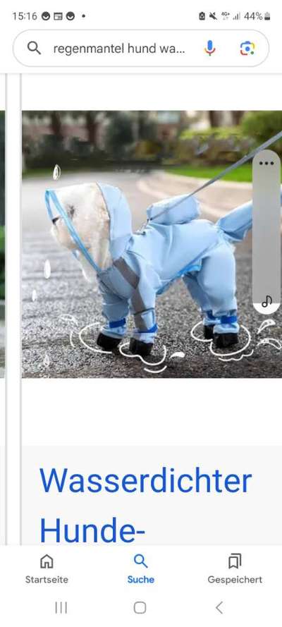 TierschutzhundeStammtisch🐕-Beitrag-Bild