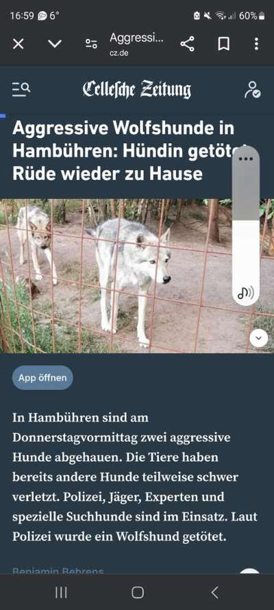 Sozialisierung und Trauma-Beitrag-Bild