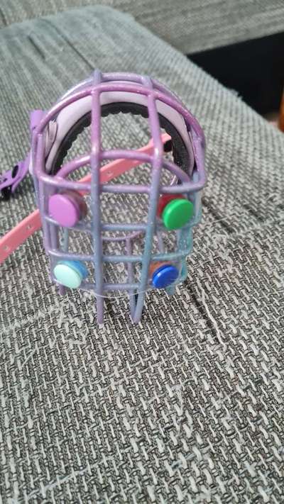 Maulkorb für Labbi wegen ständiger Nahrungsaufnahme unterwegs-Beitrag-Bild