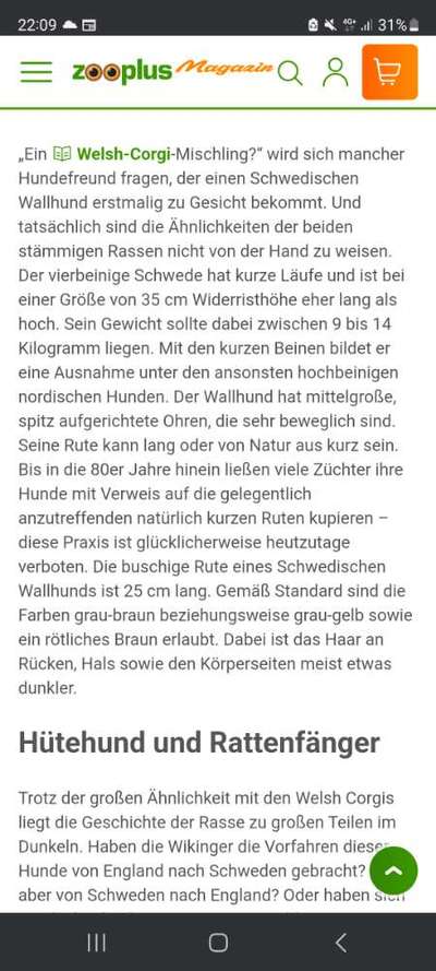 TierschutzhundeStammtisch🐕-Beitrag-Bild