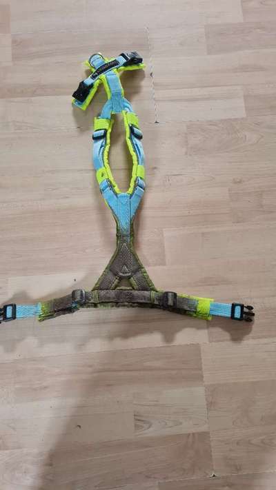 TierschutzhundeStammtisch🐕-Beitrag-Bild