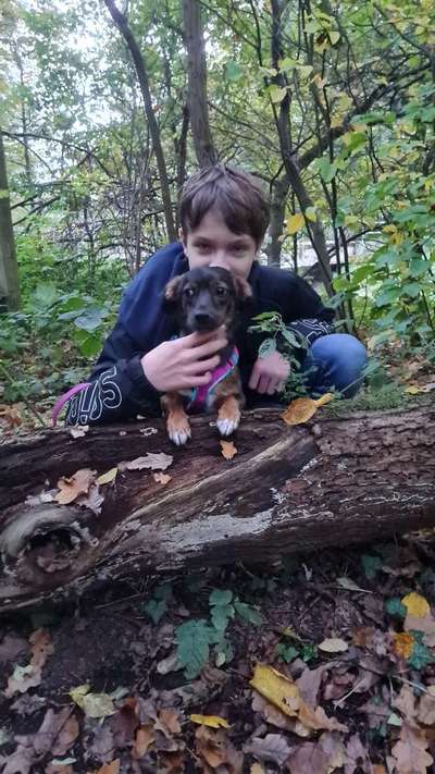 TierschutzhundeStammtisch🐕-Beitrag-Bild