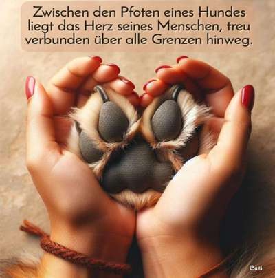 TierschutzhundeStammtisch🐕-Beitrag-Bild