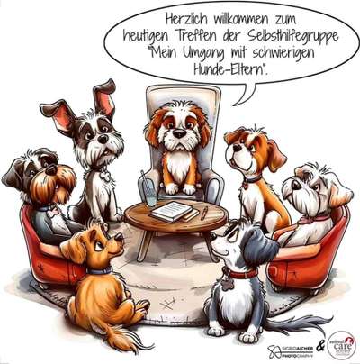 TierschutzhundeStammtisch🐕-Beitrag-Bild