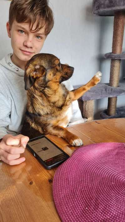 TierschutzhundeStammtisch🐕-Beitrag-Bild