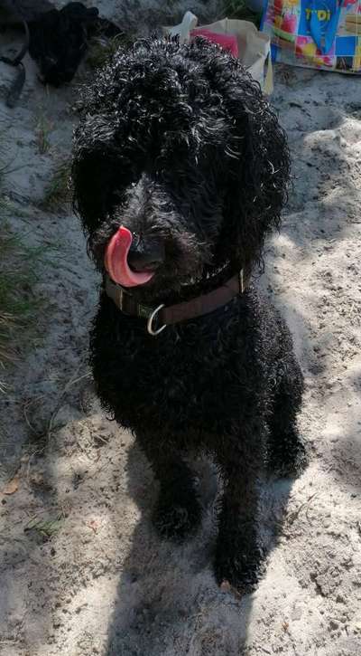 Zeigt eure Portraits-Beitrag-Bild