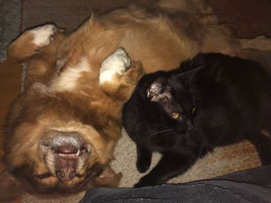 Challenge Nr. 10: "Das schönste Lächeln"-Beitrag-Bild