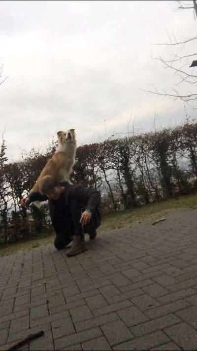 FOTOCHALLENGE 68: Dein Hund und sein bester Freund-Beitrag-Bild