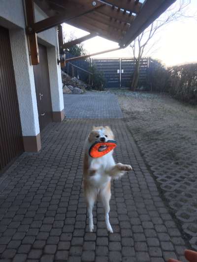 Lustige Grimassen & verrückte Posen-Beitrag-Bild