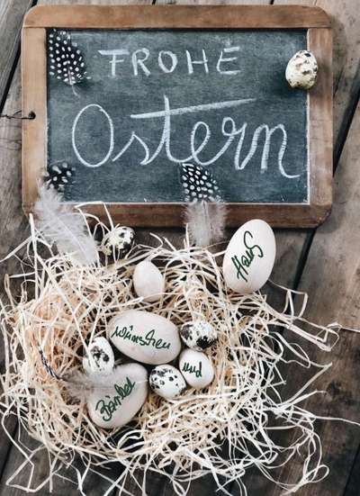 TierschutzhundeStammtisch🐕-Beitrag-Bild