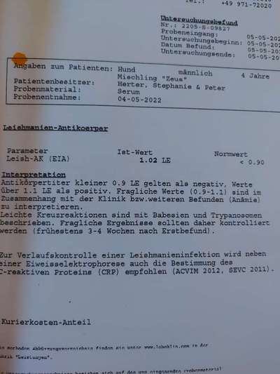 TierschutzhundeStammtisch🐕-Beitrag-Bild