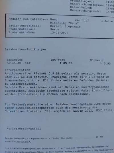 TierschutzhundeStammtisch🐕-Beitrag-Bild