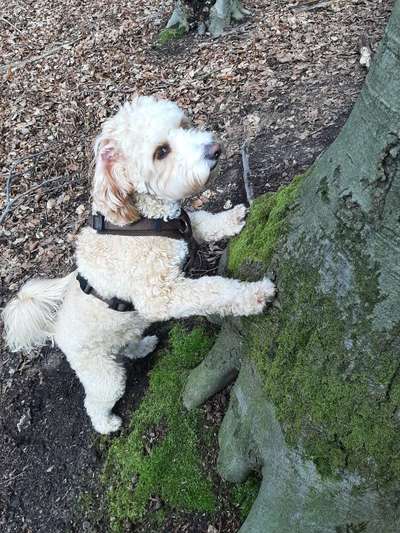 Fotochallenge No. 26                                     Wald und Wiese-Beitrag-Bild