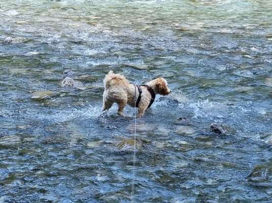 Theos Fotochallange Nummer 4-Beitrag-Bild