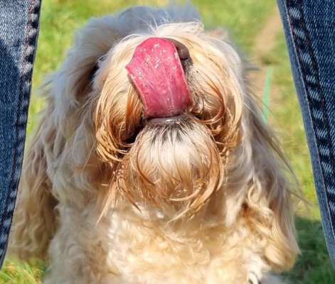 Handyfoto challenge Nr. 13: Waschlappen raus!-Beitrag-Bild