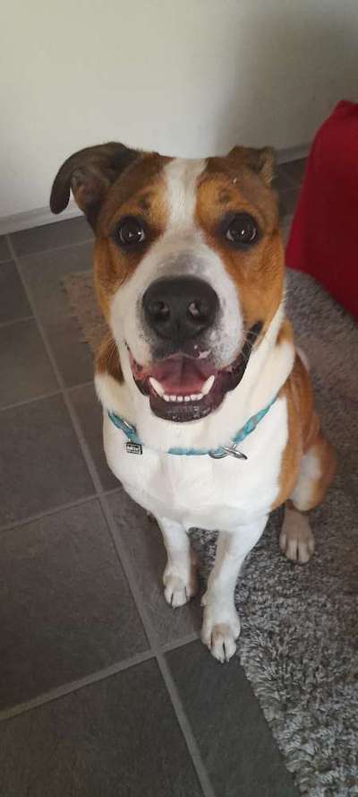 Allein zu Hause-Beitrag-Bild