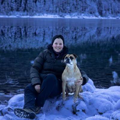 Hundetreffen-Sozial Walk-Bild