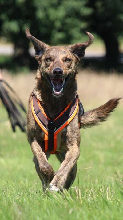 Handy-foto Challange nr. 11-Beitrag-Bild