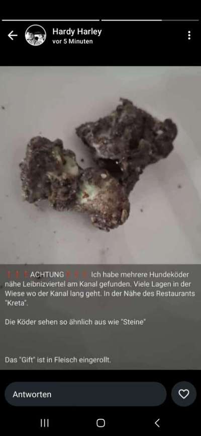 Giftköder-Giftköder im Leibnizviertel-Bild