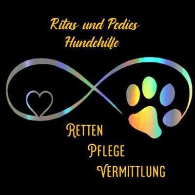 Hund aus Bulgarien ?-Beitrag-Bild