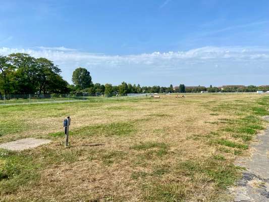 Hundeauslaufgebiet-Tempelhofer Feld Südwest-Bild