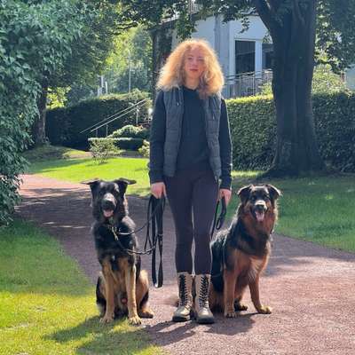 Hundetreffen-Social Walk Gruppe in Horn Bad Meinberg und naher Umgebung