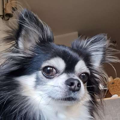 Susi's Profilbild