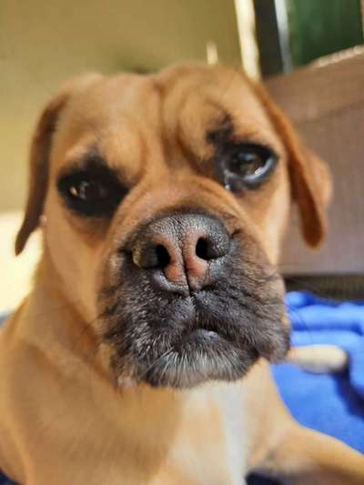 Blick fürs Detail!-Beitrag-Bild