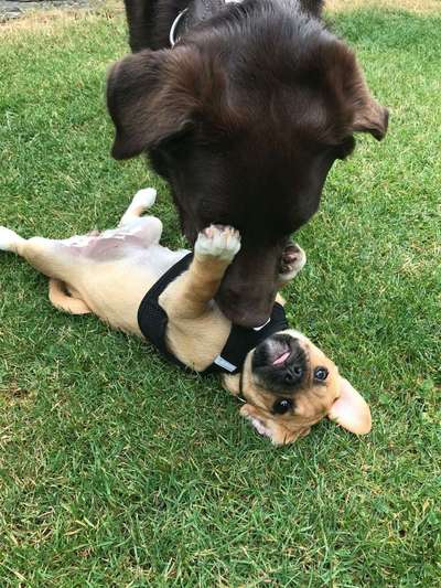 Sie werden so schnell erwachsen ...-Beitrag-Bild