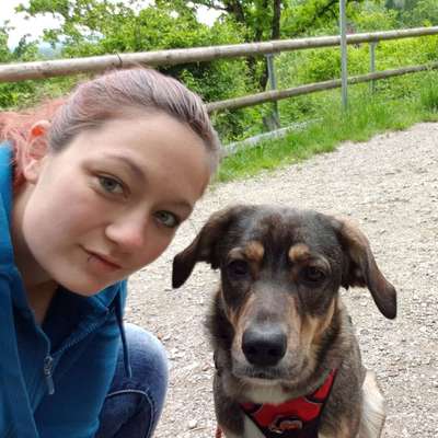 Hundetreffen-Gassi und Spiel Treffen-Profilbild