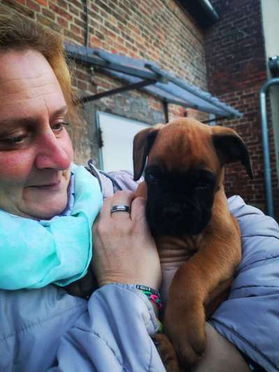 Euer schönstes Bild mit eurem Hund gemeinsam!-Beitrag-Bild