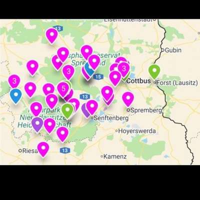 Hundetreffen-Hunde Community-Bild